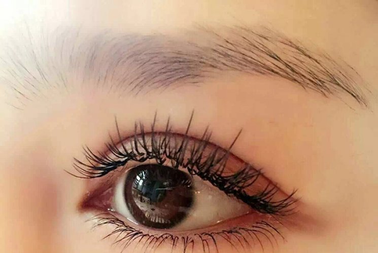 Los tipos de pestañas injertadas, ¿qué tipo de pestañas injertadas son adecuadas para usted?