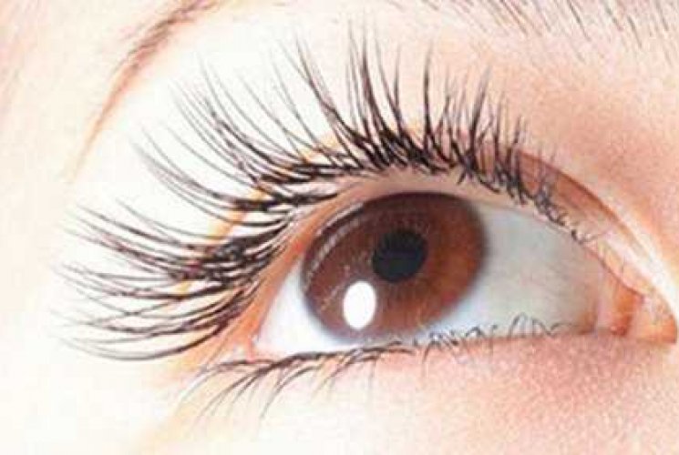 Tipos de pestañas injertadas ¿Por qué el 80 % de las publicaciones hermanas eligen el injerto de pelo de visón?